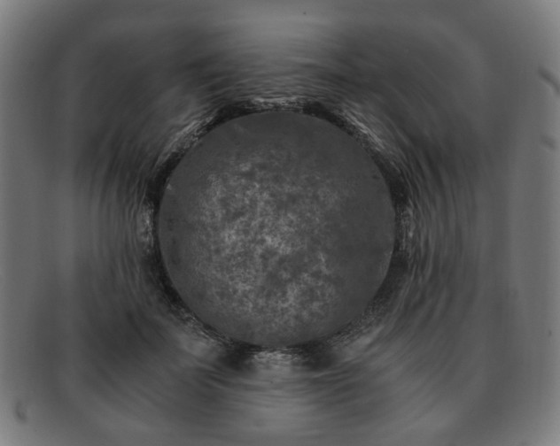 X0000091900699200709121459