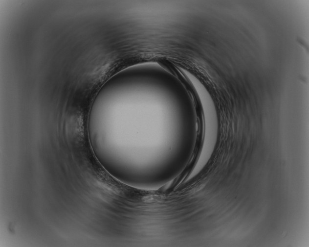 X0000091900700200709121459