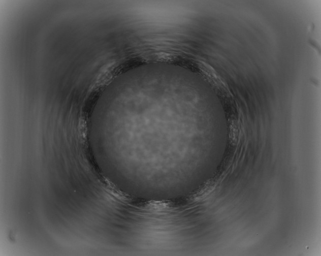 X0000091900701200709121459