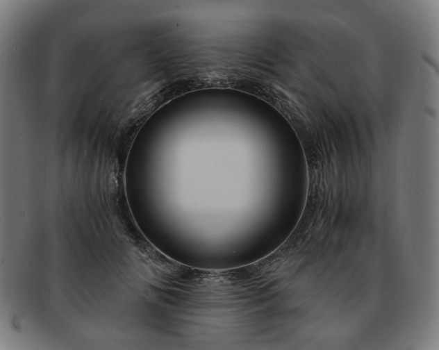 X0000091900702200709121459