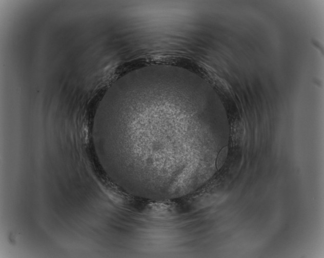 X0000091900703200709121459