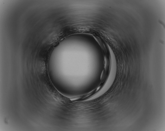 X0000091900704200709121459