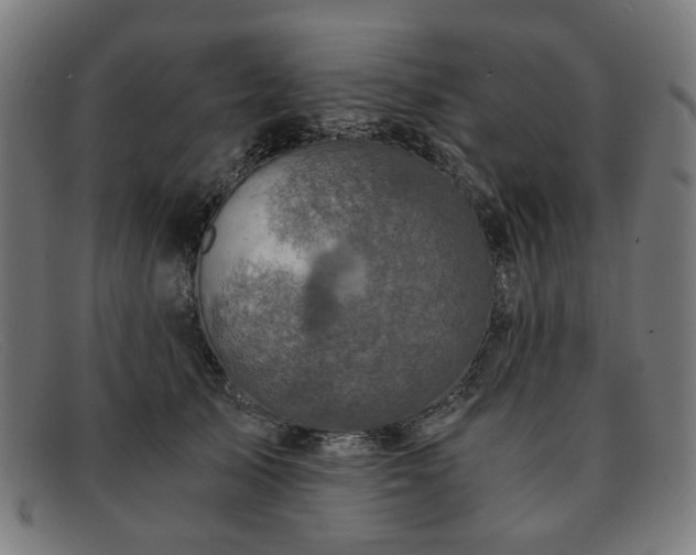 X0000091900705200709121459