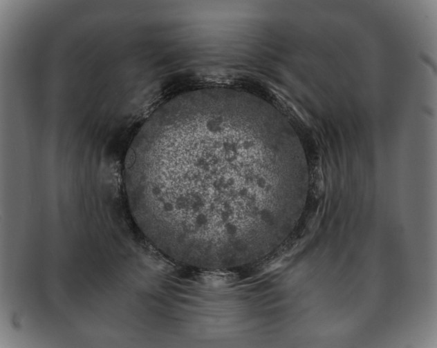 X0000091900707200709121459