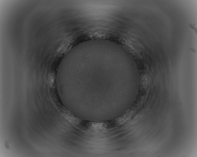 X0000091900709200709121459