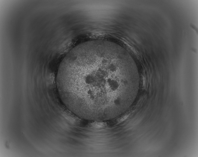 X0000091900711200709121459