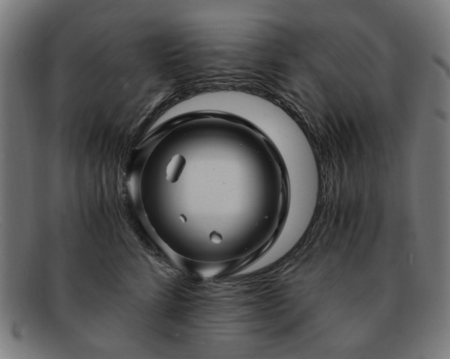 X0000091900712200709121459