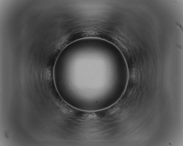 X0000091900715200709121459