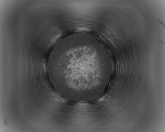 X0000091900716200709121459