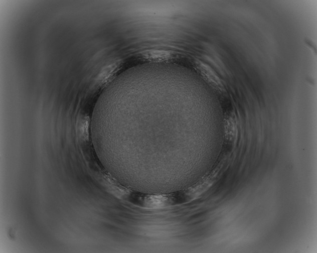 X0000091900717200709121459