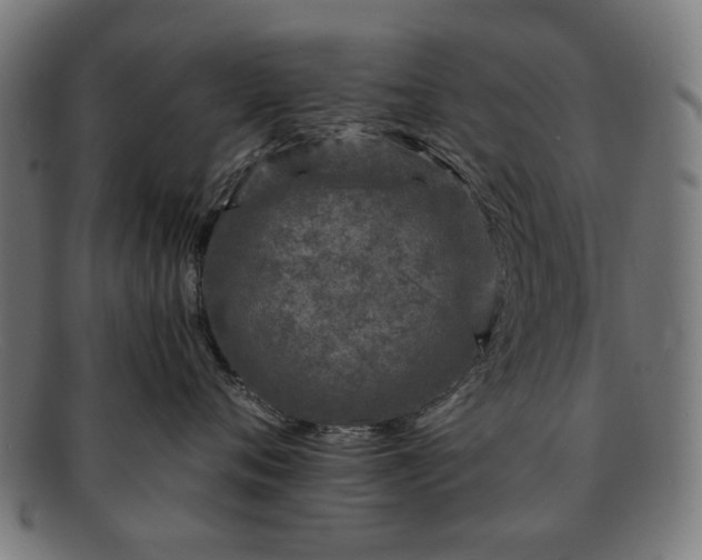 X0000091900720200709121459