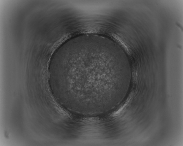 X0000091900721200709121458