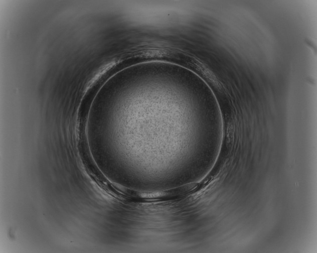 X0000091900722200709121458