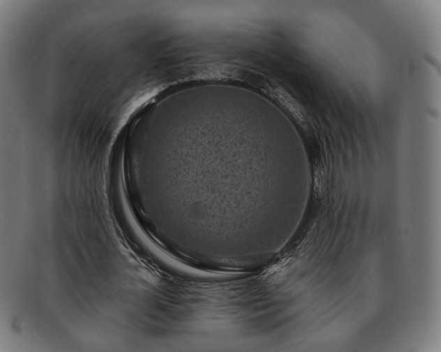 X0000091900724200709121458