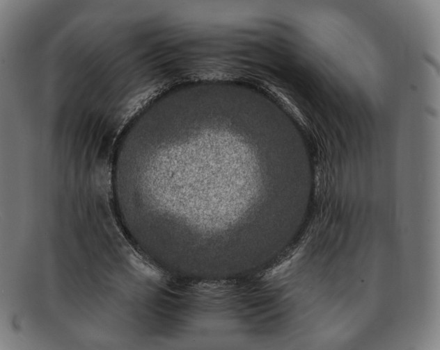 X0000091900725200709121458