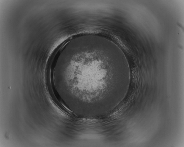 X0000091900726200709121458