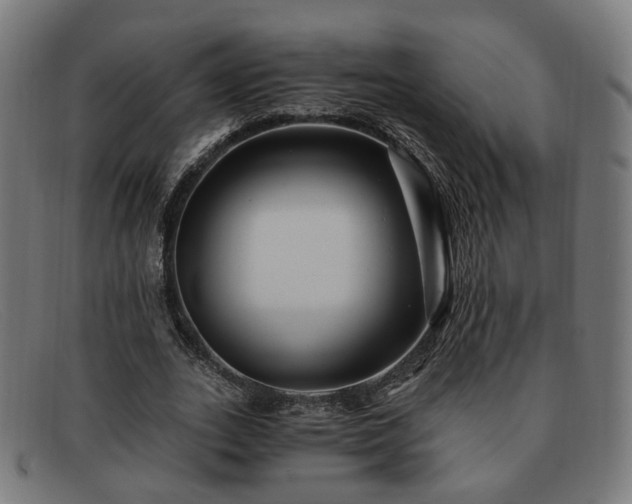 X0000091900727200709121458