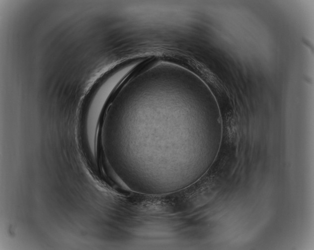 X0000091900728200709121458