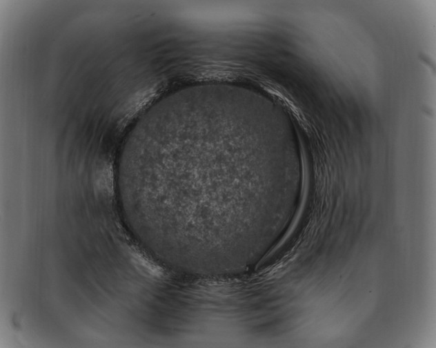 X0000091900729200709121458