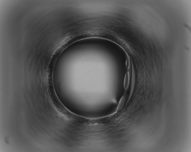 X0000091900730200709121458