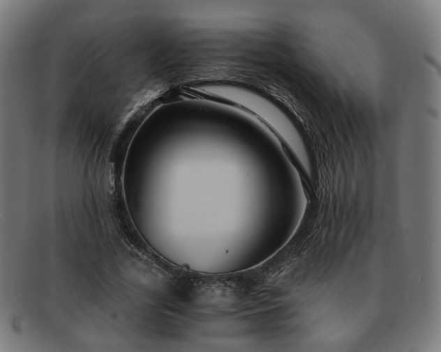 X0000091900731200709121458