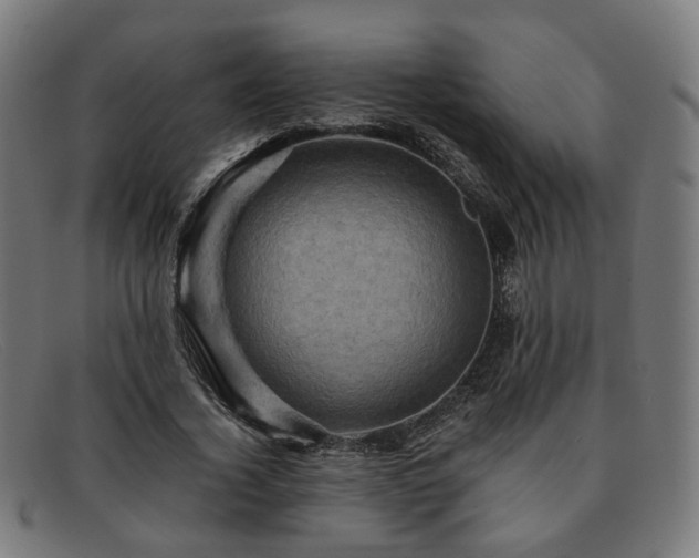 X0000091900732200709121458