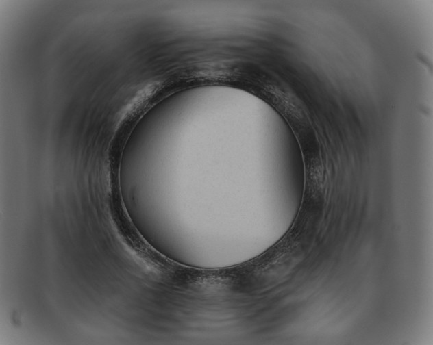 X0000091900734200709121458