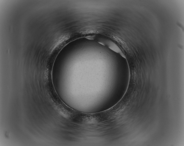 X0000091900735200709121458