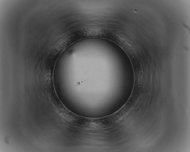 X0000091900737200709121458