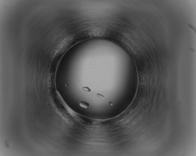 X0000091900738200709121458