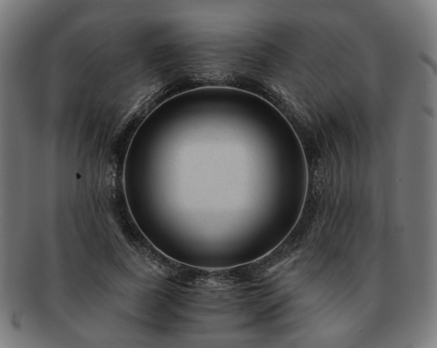 X0000091900739200709121458