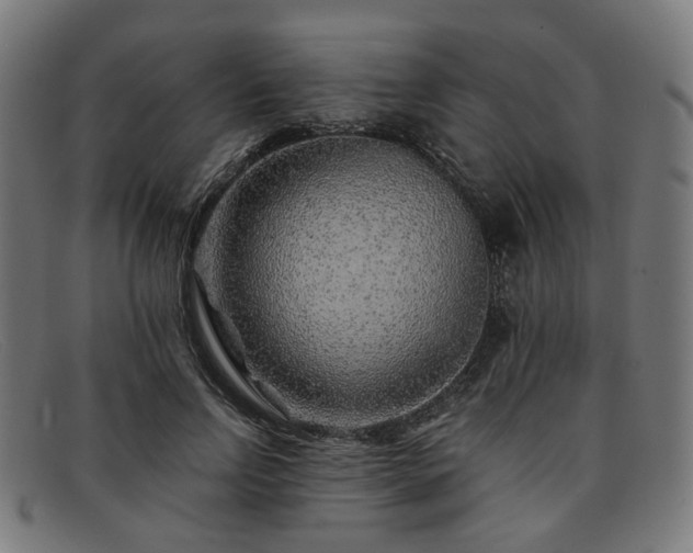 X0000091900742200709121458