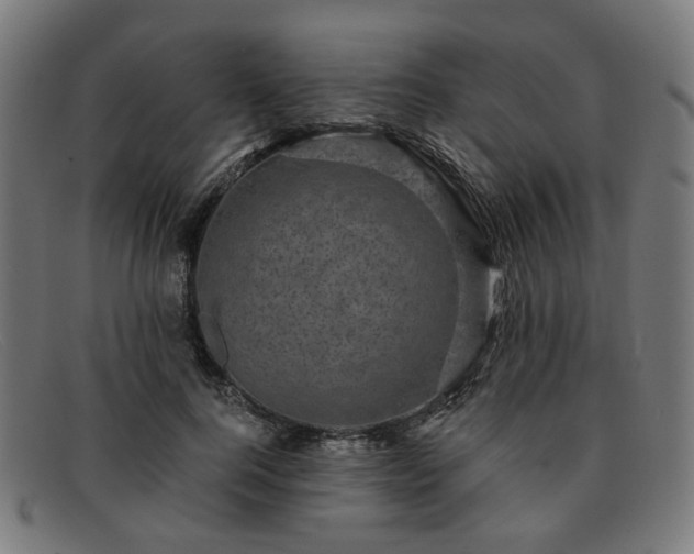 X0000091900744200709121458