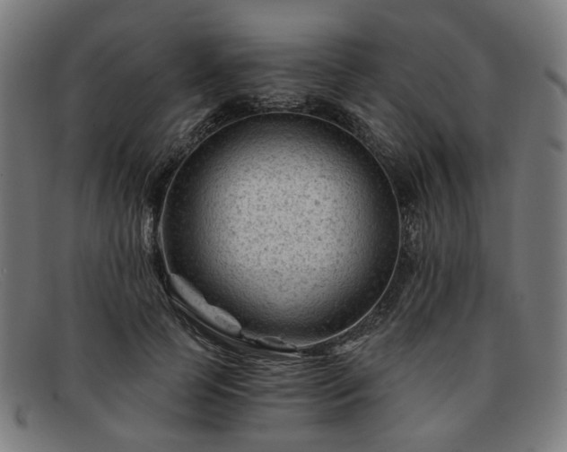 X0000091900745200709121458