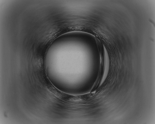 X0000091900747200709121458