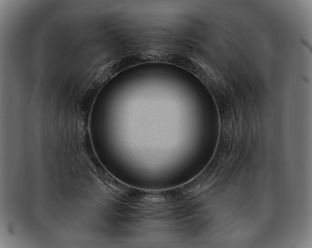 X0000091900749200709121458