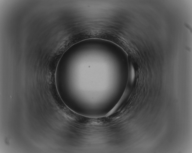 X0000091900750200709121458