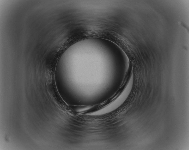 X0000091900751200709121458