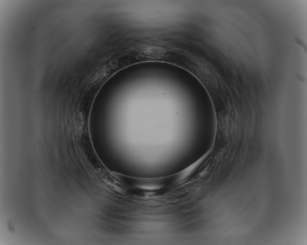 X0000091900752200709121458