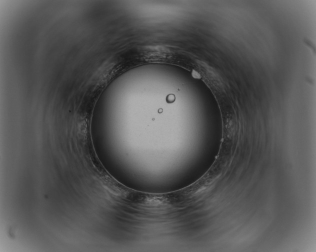 X0000091900753200709121458