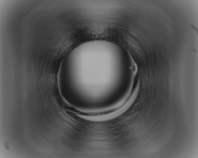 X0000091900756200709121458