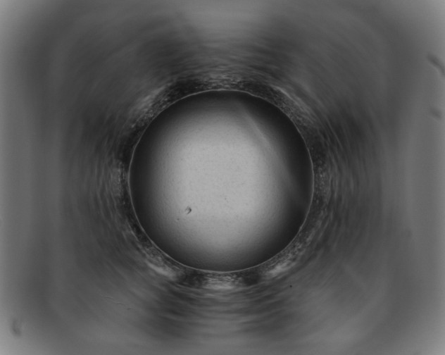 X0000091900757200709121458