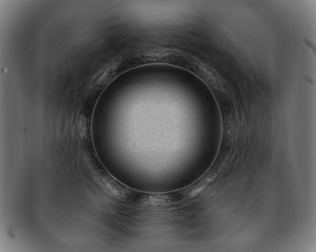 X0000091900758200709121458