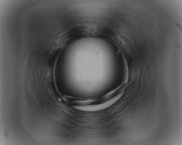 X0000091900759200709121458