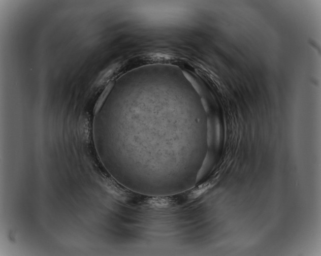 X0000091900762200709121458