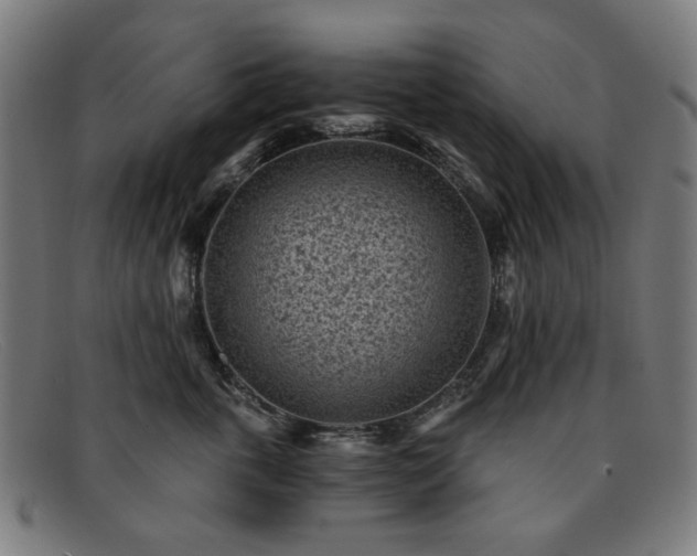 X0000091900763200709121458