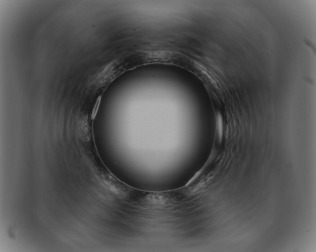 X0000091900764200709121458