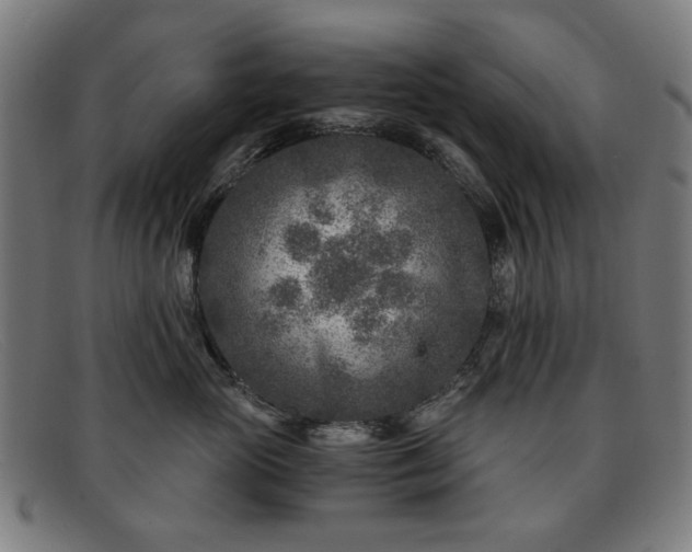 X0000091900765200709121458