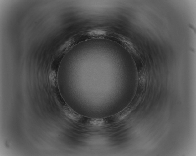 X0000091900767200709121459