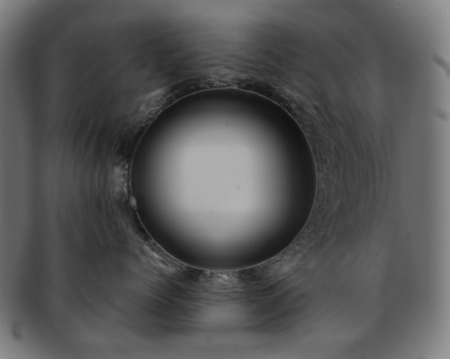 X0000091900768200709121459